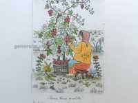 Josip Generalic, JG-E02-02(2), Woman picking grapes (violet), water-coloured etching, 27x20 cm 15x10 cm, 1985 - 300 eur