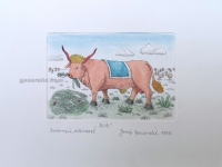 Josip Generalic, JG-E03-01 (Last one), Bull, water-coloured etching, 20x27 cm 10x14 cm, 1985 - 300 eur