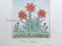 Josip Generalic, JG-G07-03(4), Three flowers, water-coloured etching (red), 20x13 cm 9x8 cm, 1989 - 200 eur