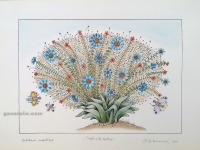 Josip Generalic, JG-L04-04(3), Flowers with three butterflies (blue), water-coloured silkscreen, 35x49 cm 26x37 cm, 1988