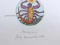 Josip Generalic, JG-H02-06, Zodiac - Scorpio, water-coloured etching, 20x13 cm Ø 6 cm, 1987 - 100 eur